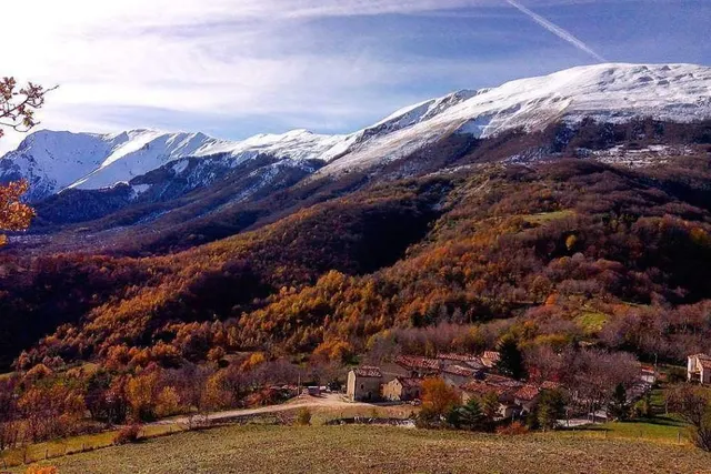 Altino Campi Scout