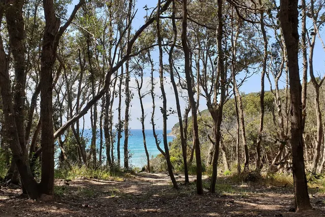Parco archeologico Vulci