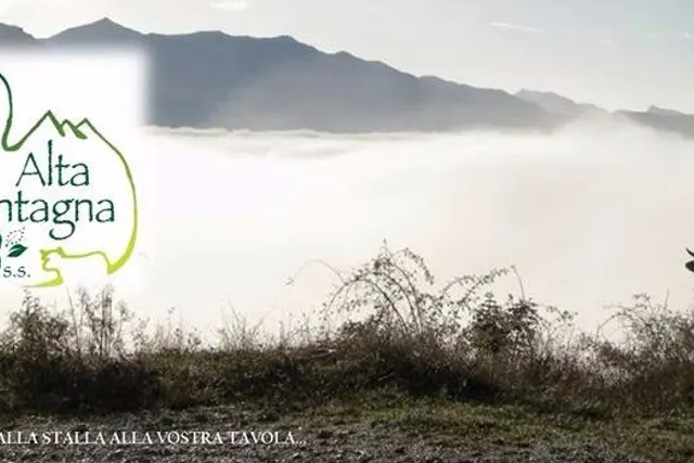 Alta Montagna Bio