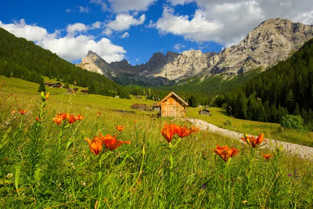 Area sosta camper Passo Coe