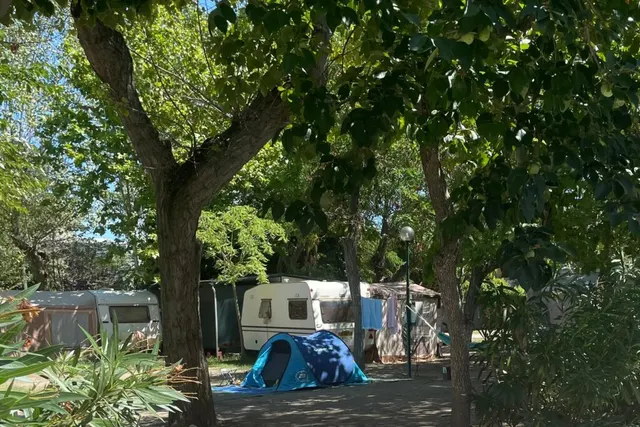 Camping Green