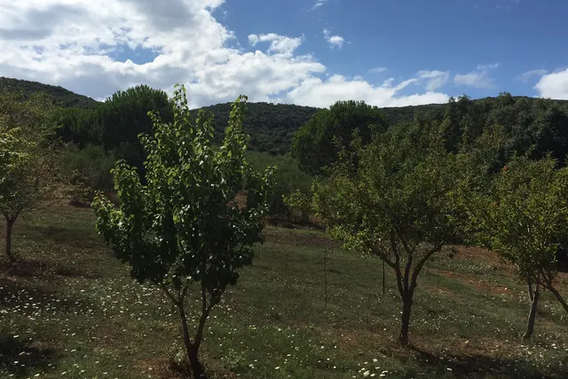 Agricamping Giro di Boa