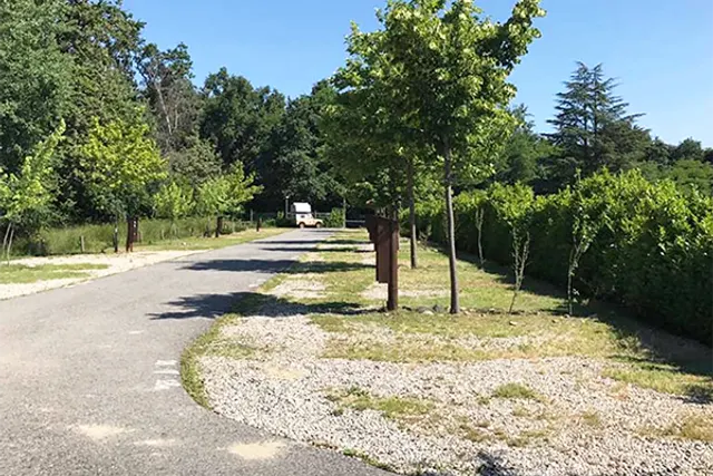 Safari Park