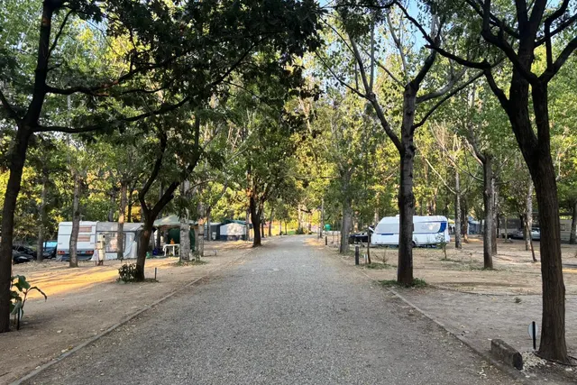 Camp. Bungalows Rio Jerte