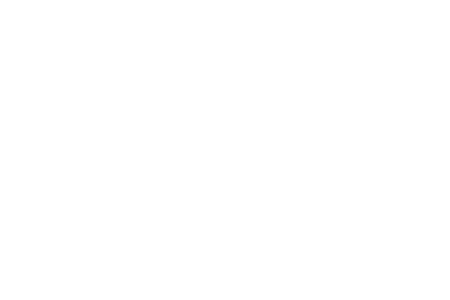 Bailico