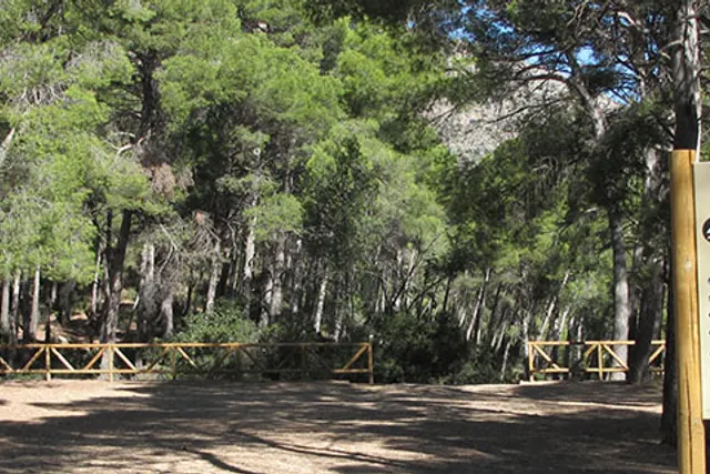 Zona de Acampada Campamento de Exploradores