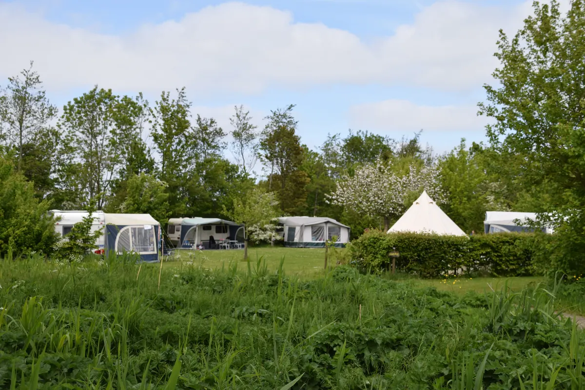 De mooiste campings in Groningen — met Camping Robersum in de spotlight