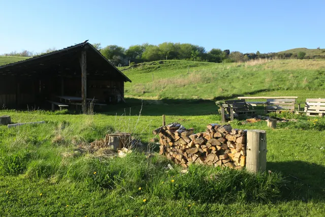 De mooiste campings in Midden-Jutland — met Bjørnen i Bjergene in de spotlight