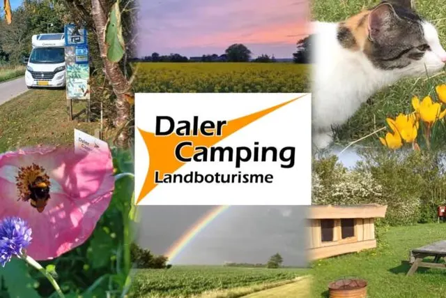 De mooiste campings in Zuid-Denemarken — met Daler Camping in de spotlight