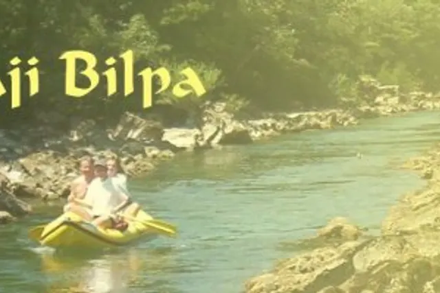 Apartmaji Bilpa