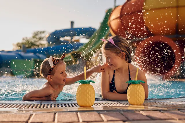Kamp Terme Čatež