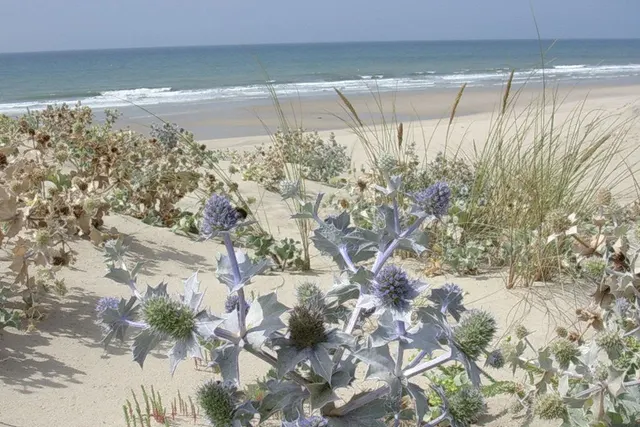 De mooiste campings in Gironde — met Camping Le Bonheur est dans le pré in de spotlight
