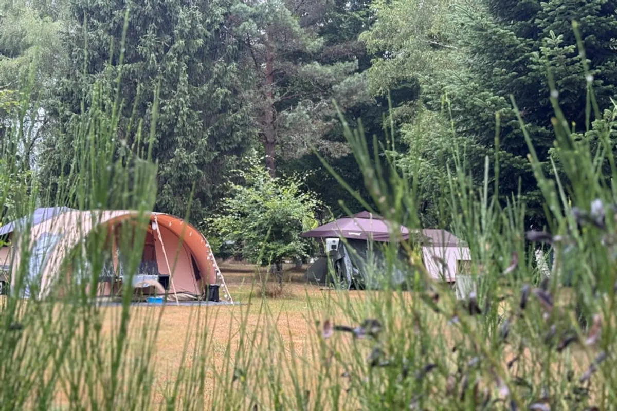 De mooiste campings in Corrèze — met Domaine de Lallé in de spotlight
