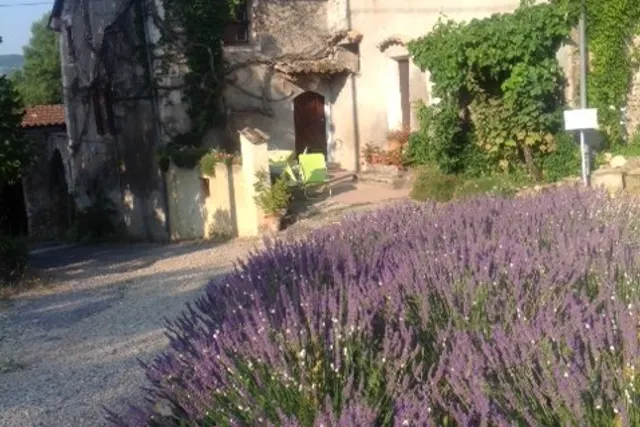 Gîte Les Lavandes La Condamine
