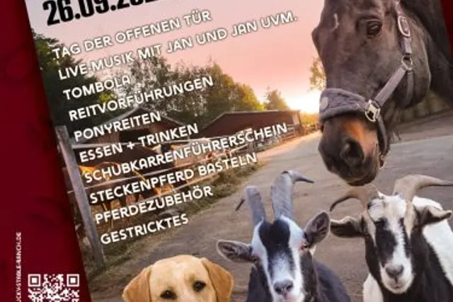 Stellplatz Lucky-Stable-Ranch