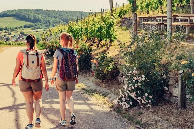 Wohnmobilstellplatz Lauffener Weingärtner eG