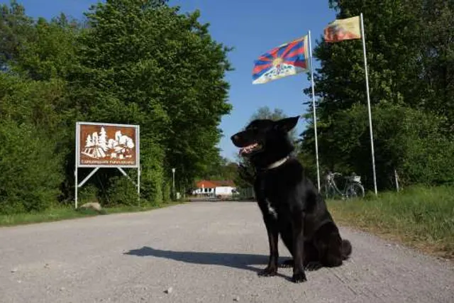 Campingplatz Fuhrenkamp
