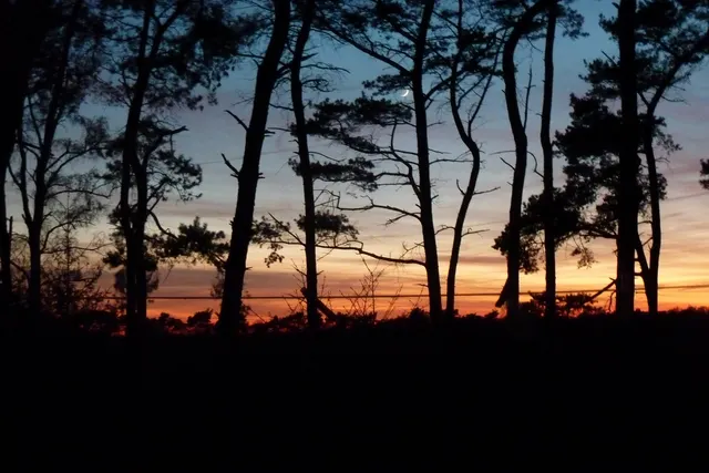 Naturistencamping De Krösenberg