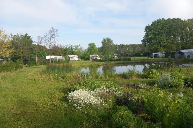 De mooiste campings in Noord-Brabant — met Mini-camping Hoeve Boord Ven in de spotlight