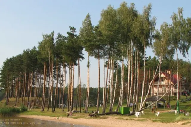 Camping Papartis