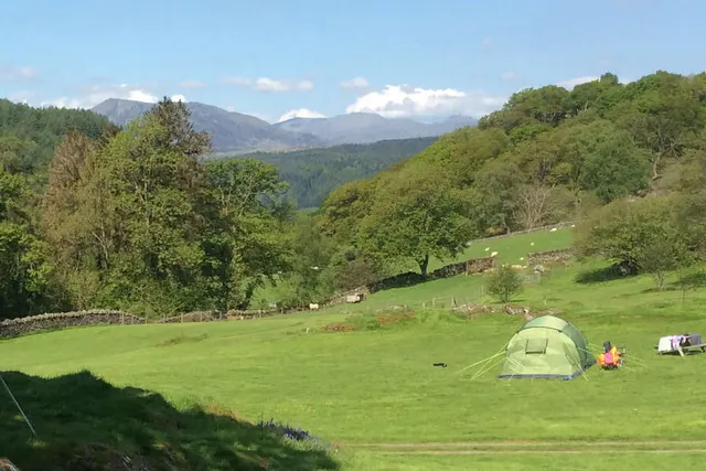 Camping Rynys Farm