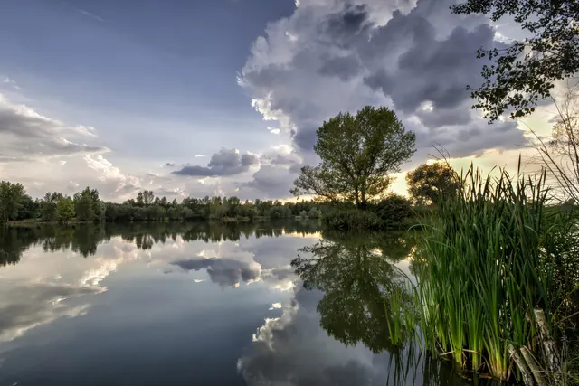 De mooiste campings in Midden-Bohemen — met JezeroVojkovice in de spotlight