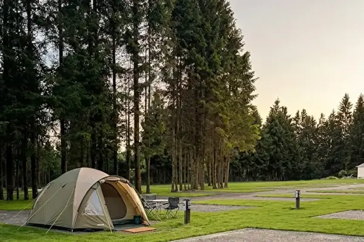 Arden Parks Vielsalm