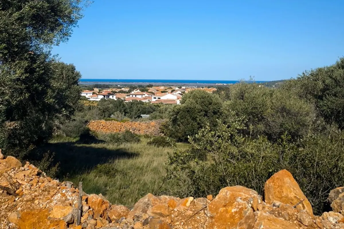 Orris camp